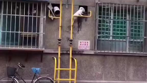 飞檐走壁